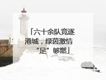 六十余队竞逐港城，绿茵激情“足”够燃